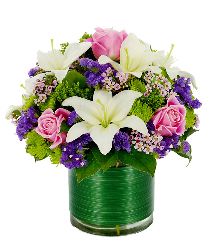 Tracelium Flowers on Loving Lilies   Roses   Newyearsbouquet Com
