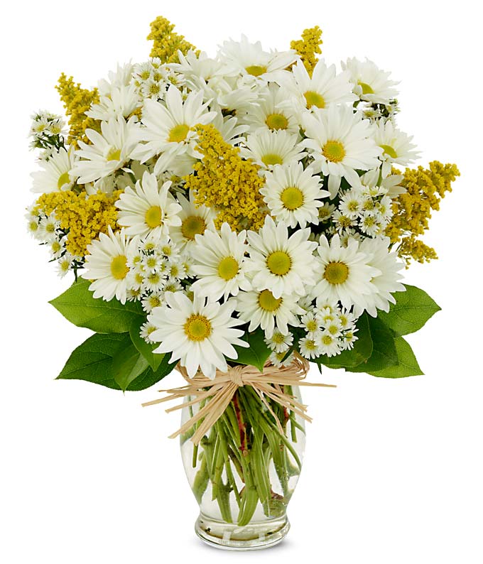 Flower Delivery Today on Daisy Delight   Usaflorist Com