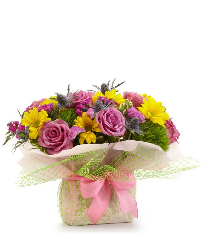 Tracelium Flowers on Mother S Love   Secretarydayflowers Com