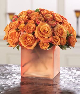 Professional Birthday on Opulent Orange Roses   Misselliesflowers Com