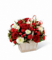 The FTD Candy Cane Lane Bouquet 