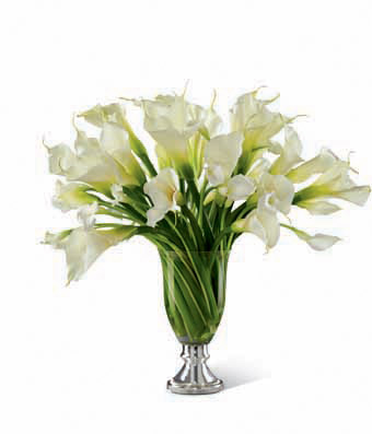 The FTD Musings Luxury Calla Lily Bouquet by Vera Wang - 50 Stems 